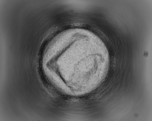 X0000099950738200806201312