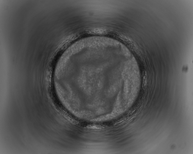 X0000099950739200806201312