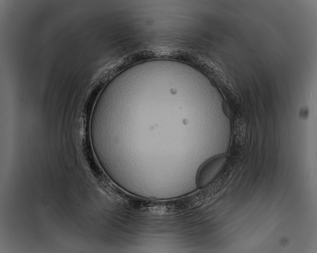 X0000099950740200806201312