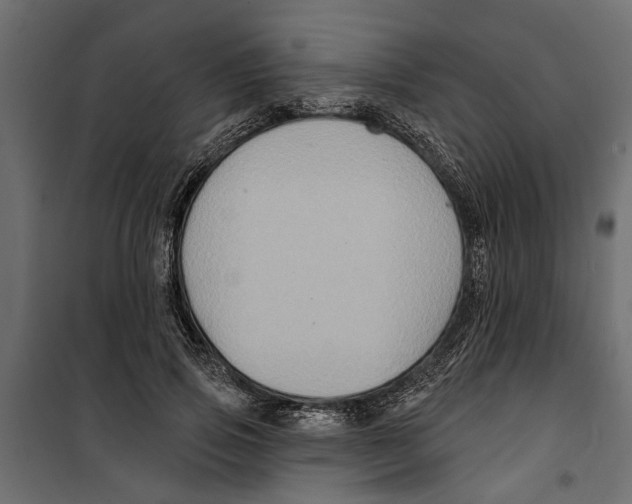 X0000099950741200806201312