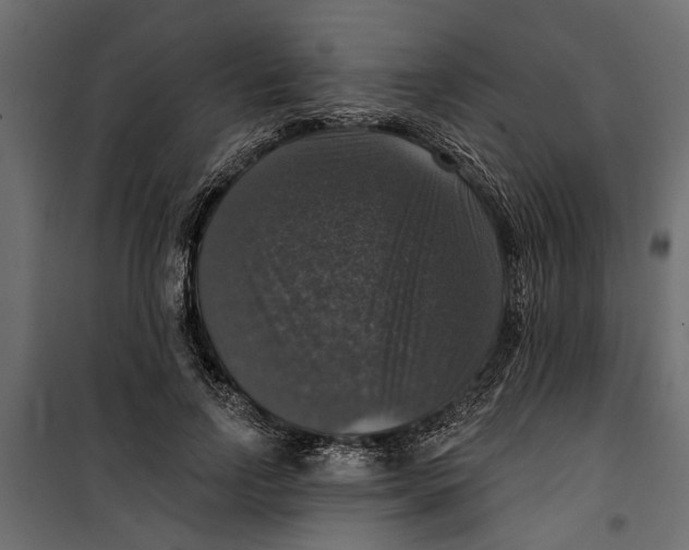 X0000099950742200806201312