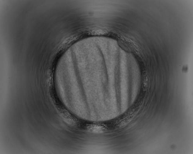 X0000099950743200806201312