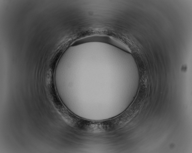 X0000099950744200806201312