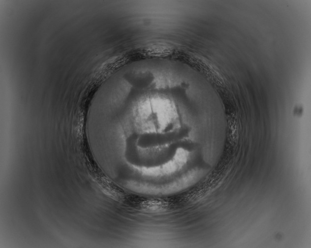 X0000099950745200806201312