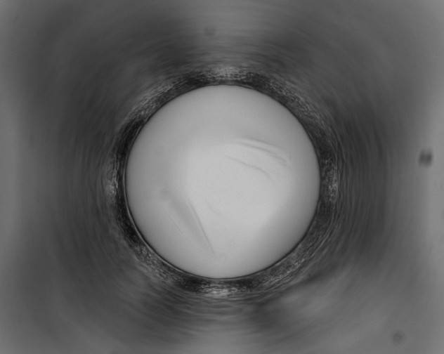 X0000099950746200806201312