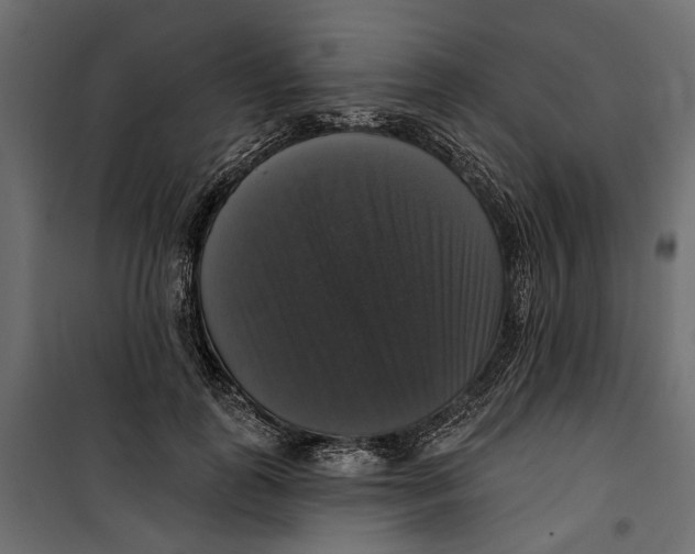 X0000099950747200806201312