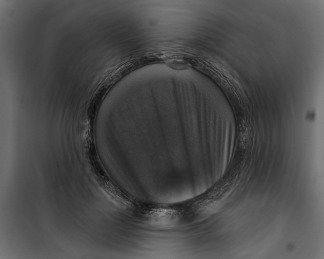 X0000099950748200806201312