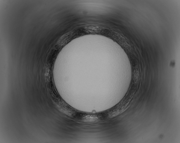 X0000099950749200806201312