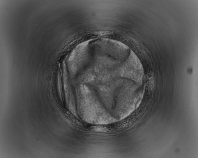X0000099950750200806201312