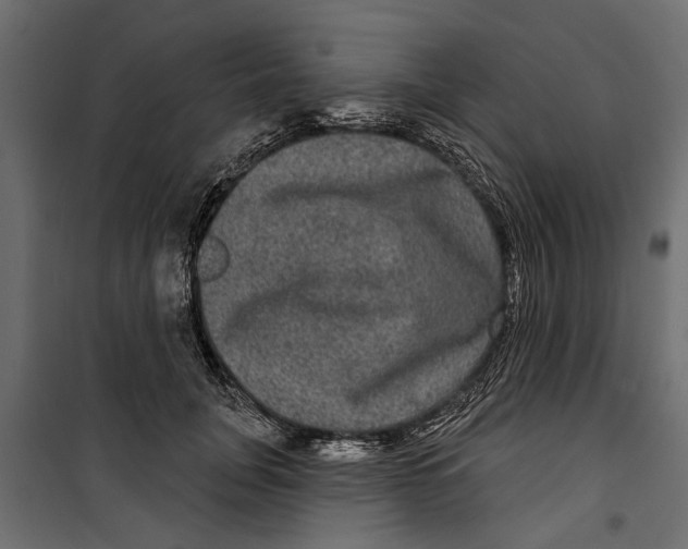 X0000099950751200806201312