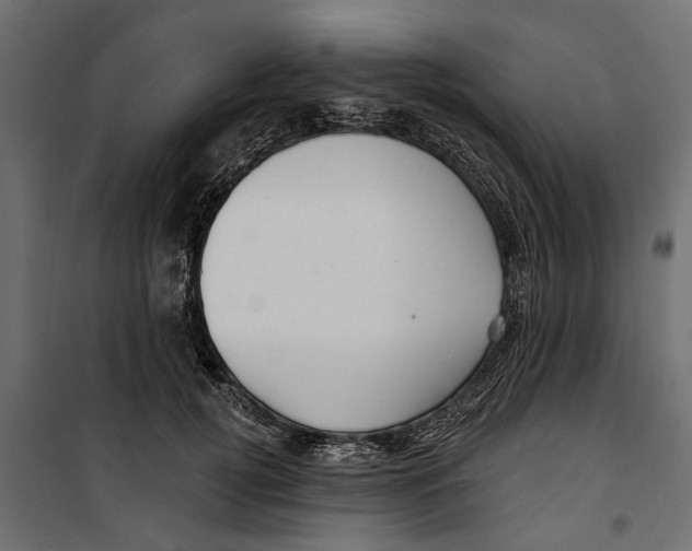 X0000099950752200806201312