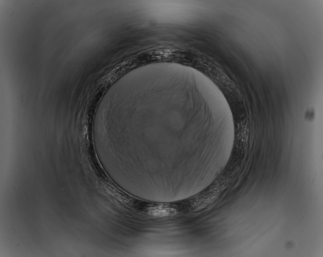 X0000099950754200806201312