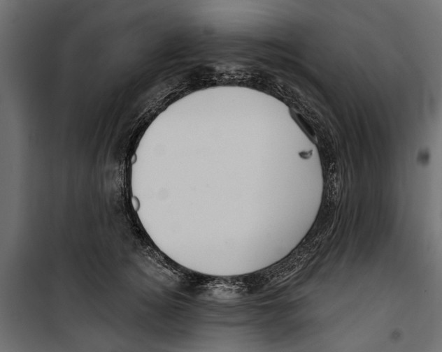 X0000099950756200806201312