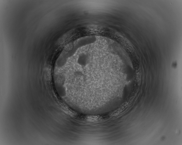X0000099950757200806201312