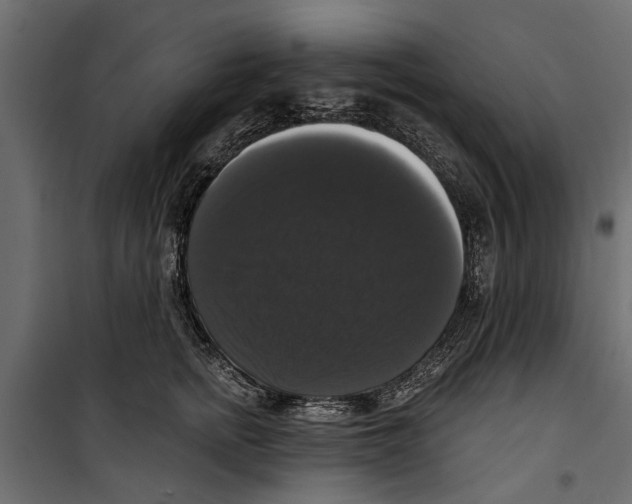 X0000099950758200806201313