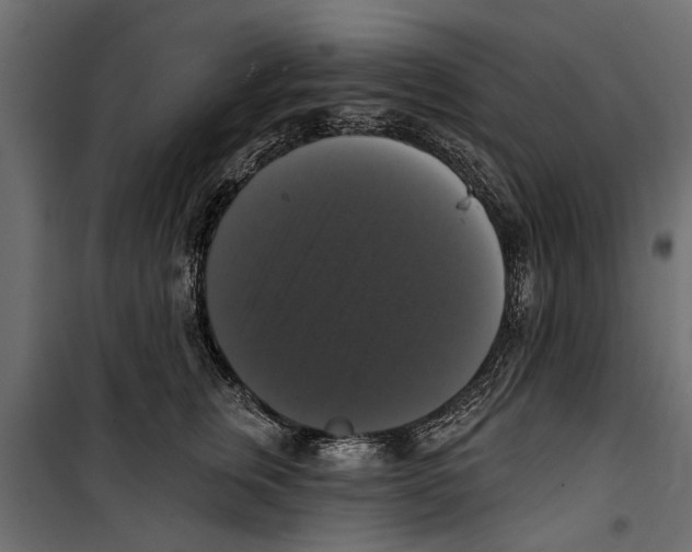 X0000099950759200806201313