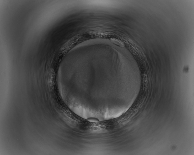 X0000099950760200806201313