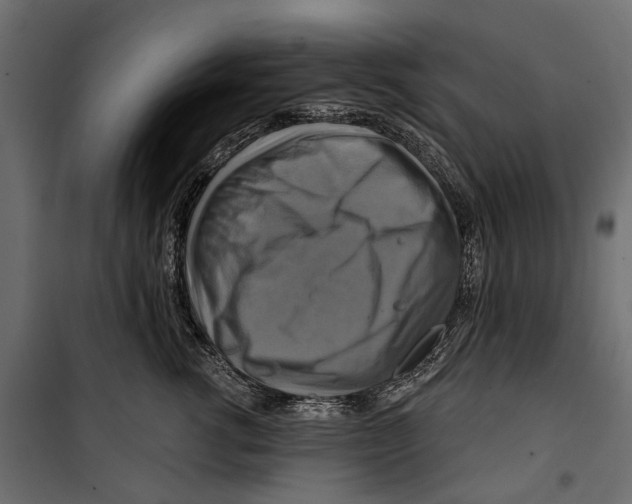 X0000099950762200806201313