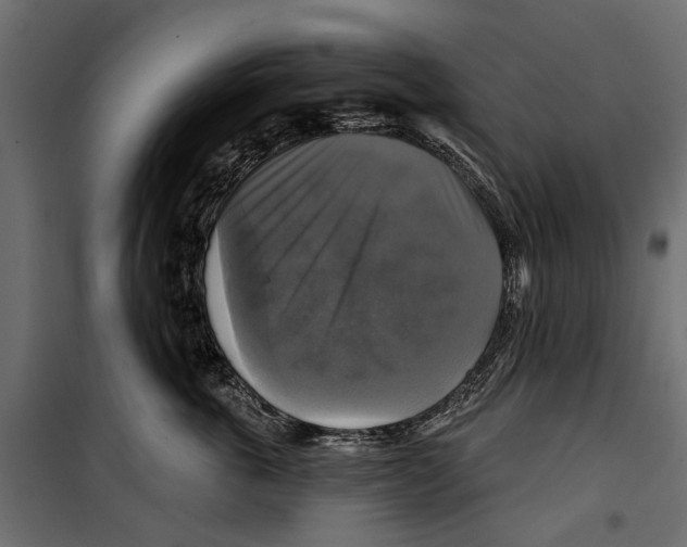 X0000099950763200806201313