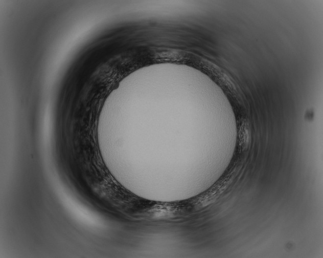X0000099950764200806201313