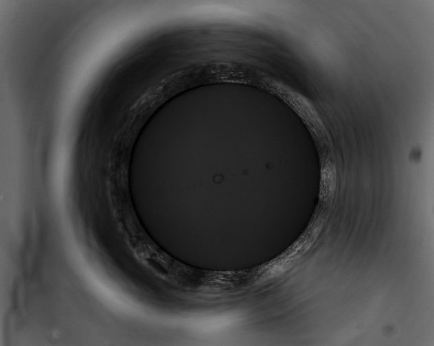 X0000099950765200806201313