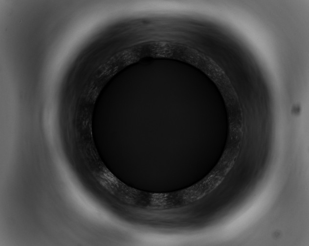 X0000099950766200806201313