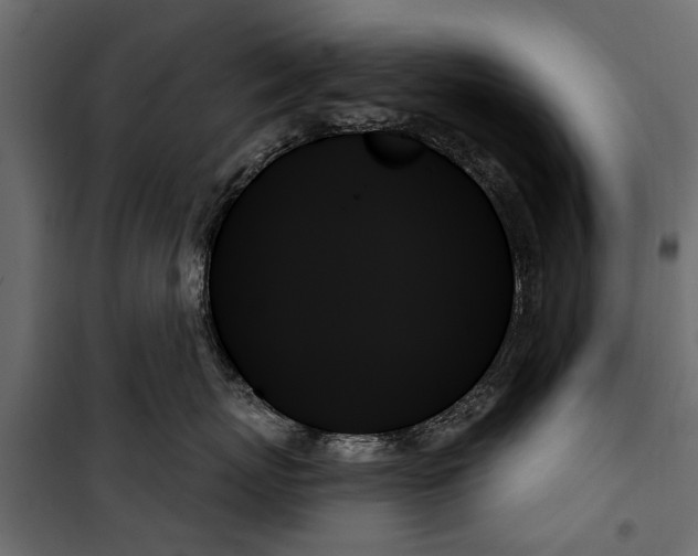 X0000099950767200806201313