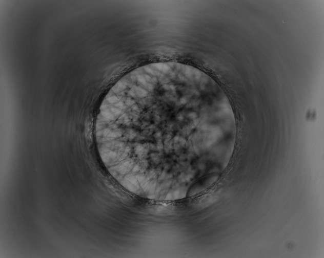 X0000099950768200806201313