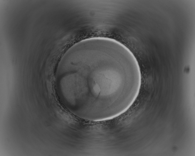 X0000099950769200806201312