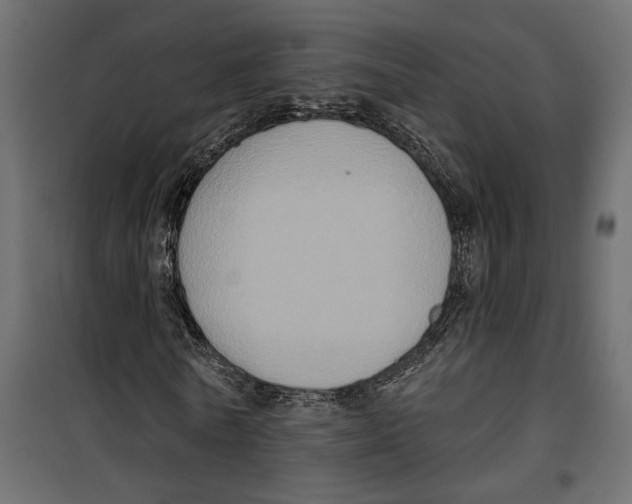 X0000099950770200806201312