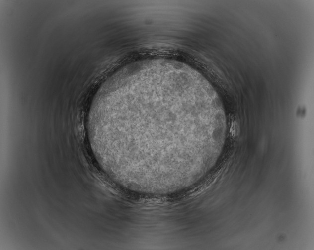 X0000099950771200806201312