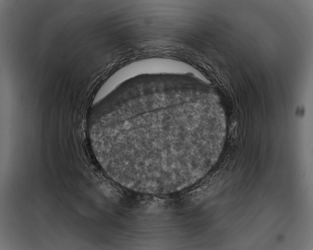 X0000099950772200806201312