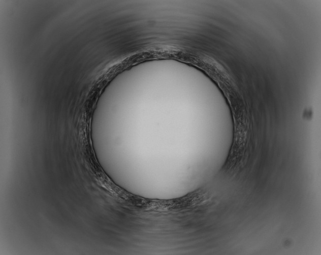 X0000099950773200806201312