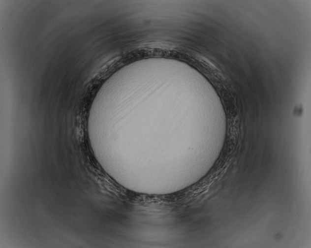 X0000099950774200806201312