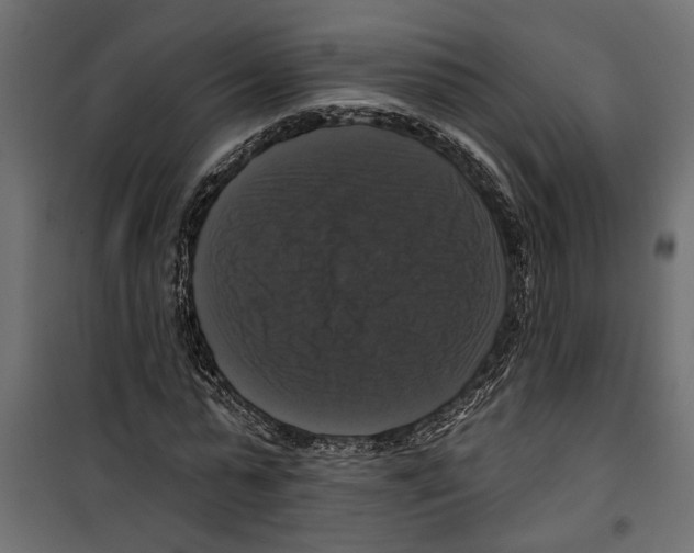 X0000099950775200806201312