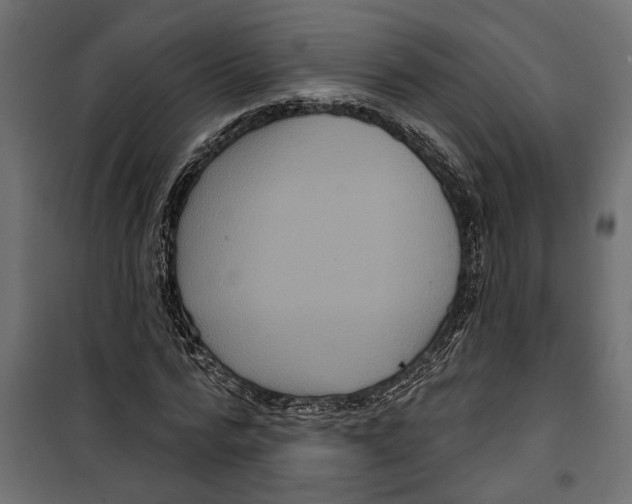 X0000099950776200806201312