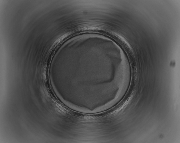 X0000099950777200806201312