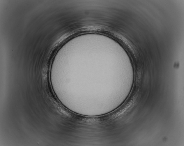 X0000099950778200806201312