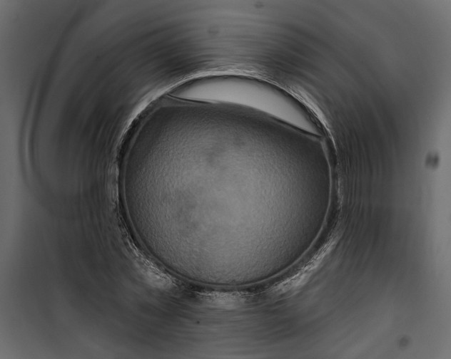 X0000099950781200806201311