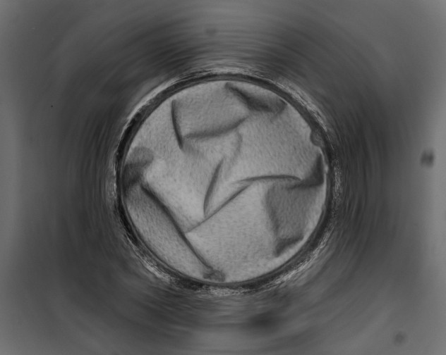 X0000099950782200806201311