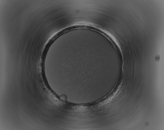 X0000099950783200806201311