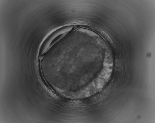 X0000099950784200806201311