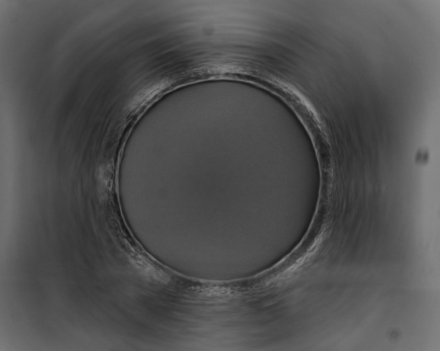 X0000099950785200806201311