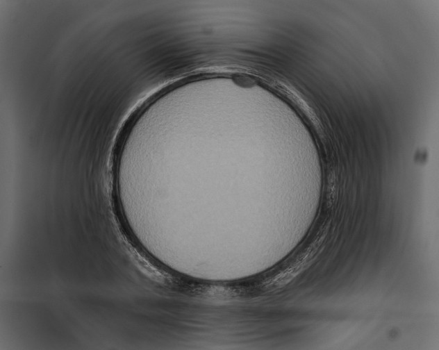 X0000099950787200806201311