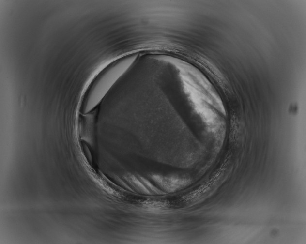 X0000099950788200806201311