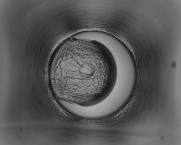 X0000099950789200806201311