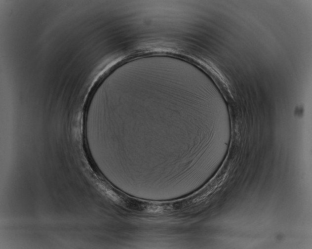 X0000099950790200806201311