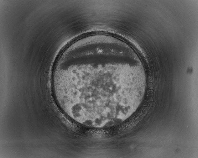 X0000099950791200806201311