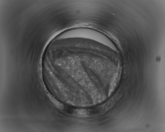 X0000099950792200806201311