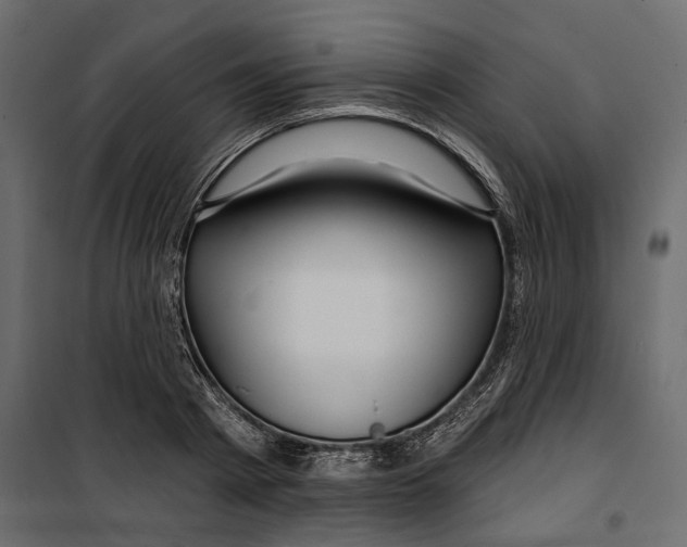 X0000099950793200806201311